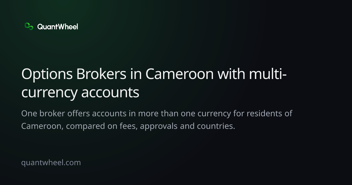 The share card of Options brokers in Cameroon with multi-currency accounts