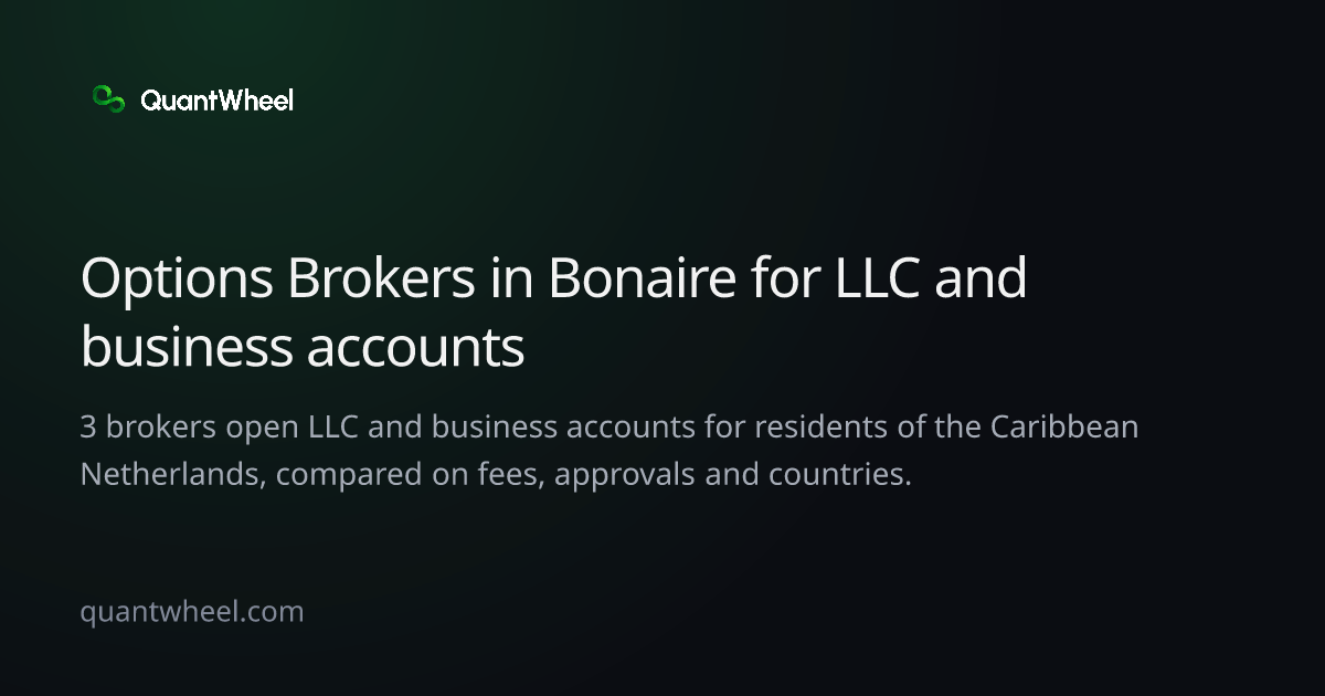 The share card of Options brokers in the Caribbean Netherlands for LLC and business accounts