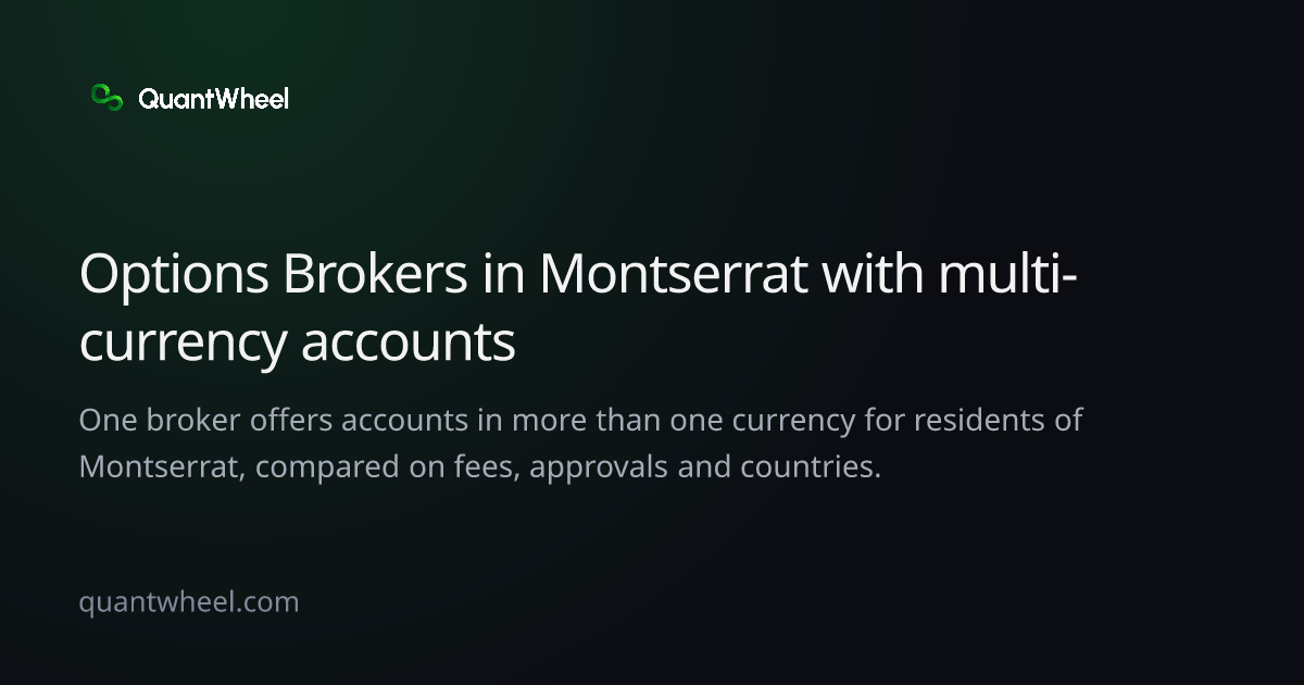 The share card of Options brokers in Montserrat with multi-currency accounts