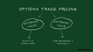 A comprehensive diagram illustrating intrinsic value and extrinsic value components of option premium, explaining what is option premium and how does option premium work when trading options. The visual breaks down option premium into intrinsic value—the immediate profit if exercising an option—and extrinsic value, representing time and volatility factors affecting option pricing. Traders analyzing this option diagram understand that intrinsic value only exists for in-the-money options, while extrinsic value affects all options contracts and decays as expiration approaches. Understanding these option premium components helps options traders calculate fair option premium before entering positions. This explanation of how does option premium work demonstrates why option premium varies across different options strikes and expirations, enabling smarter trading decisions when buying or selling options based on combined intrinsic value and extrinsic value analysis.