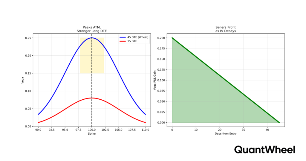Options greeks vega charts showing peak premium at-the-money and seller profits during IV decay.